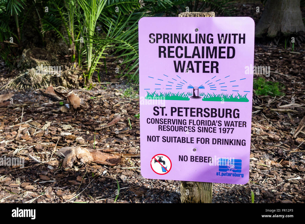 St. Petersburg, Florida, Gizella Kopsick Palm Arboretum, Schild, wiedergewonnenes Wasser, FL160210076 Stockfoto
