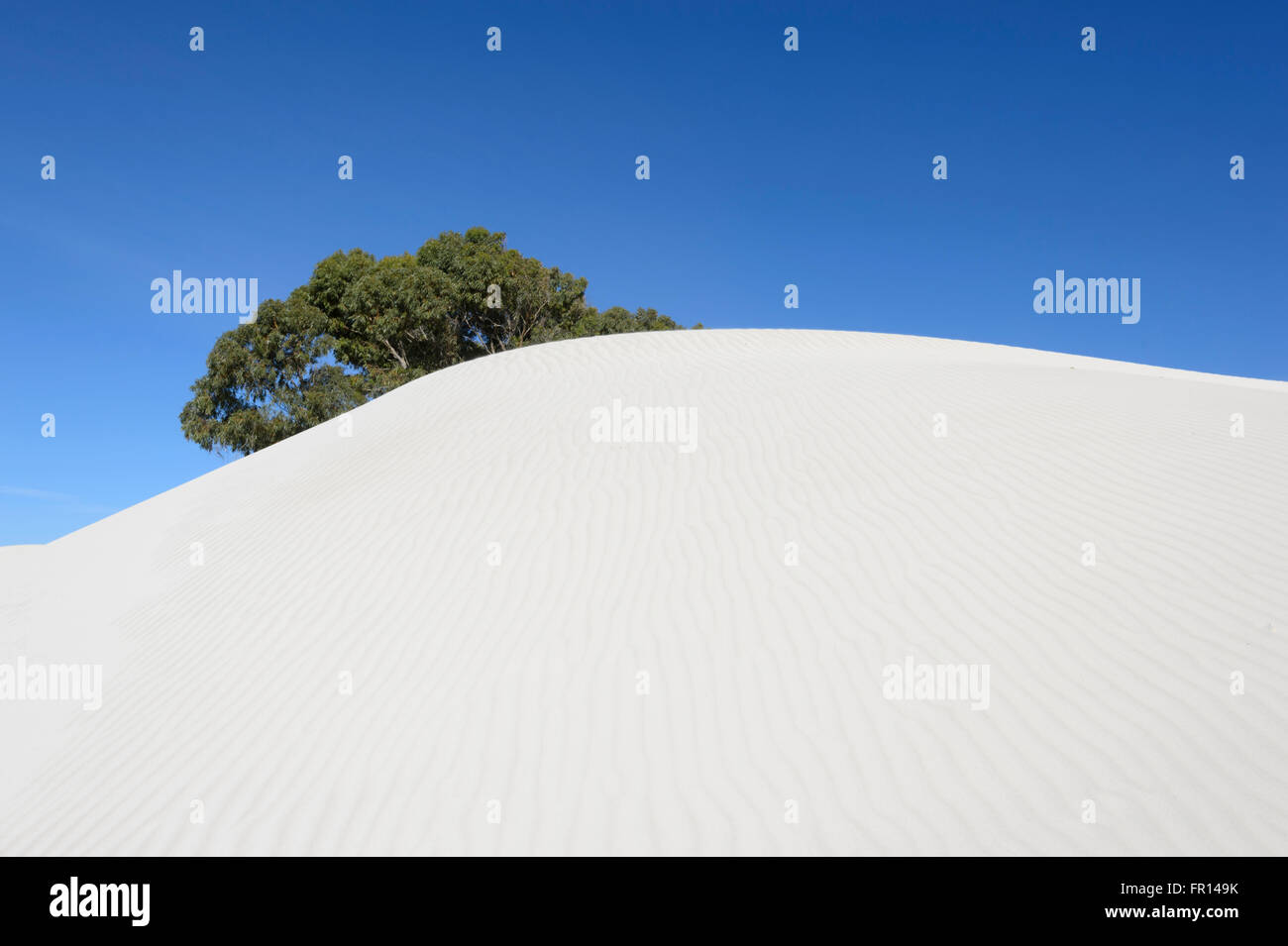 Yanerbie Sandhills, Streaky Bay, South Australia Stockfoto