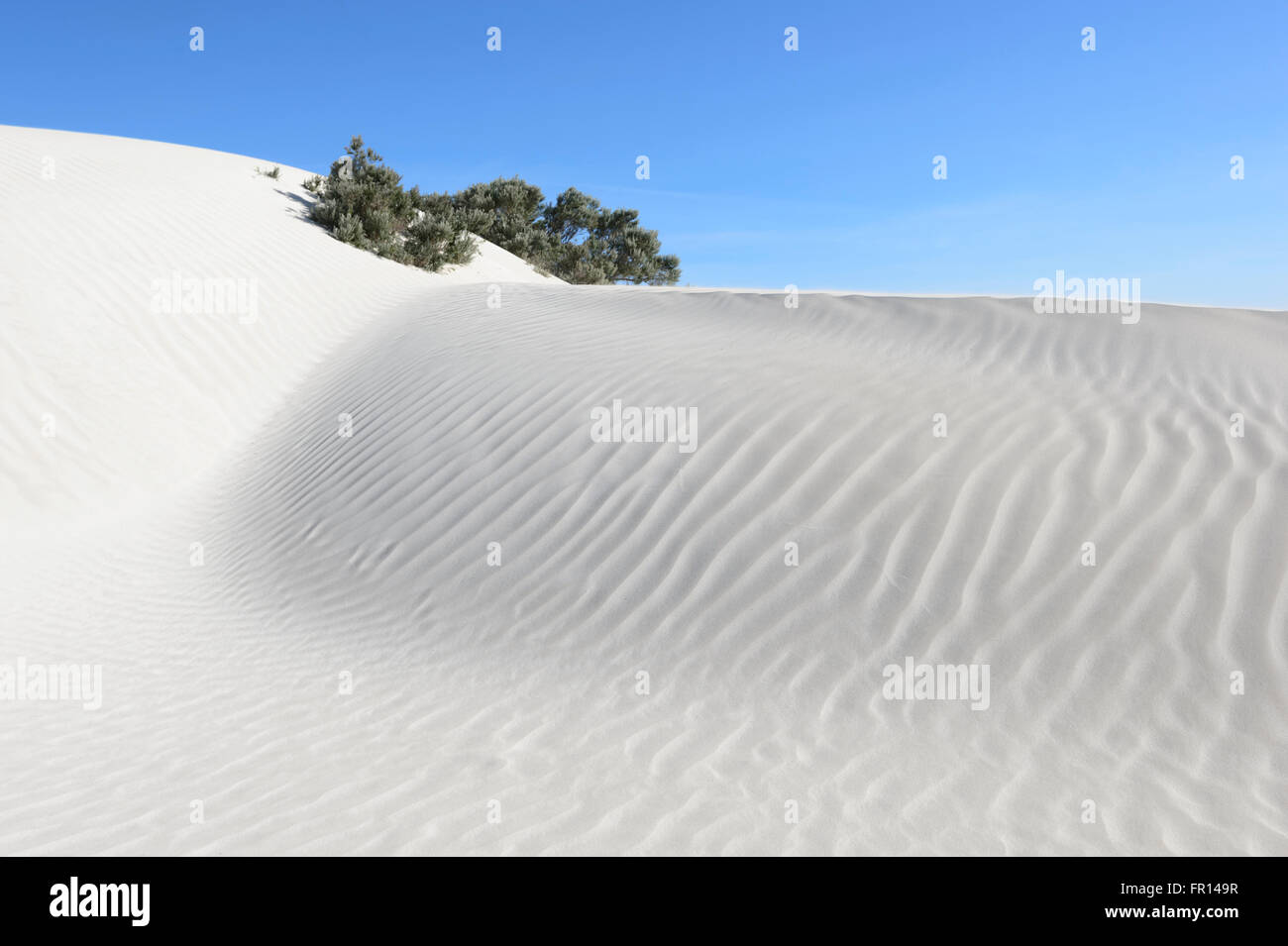 Yanerbie Sandhills, Streaky Bay, South Australia Stockfoto