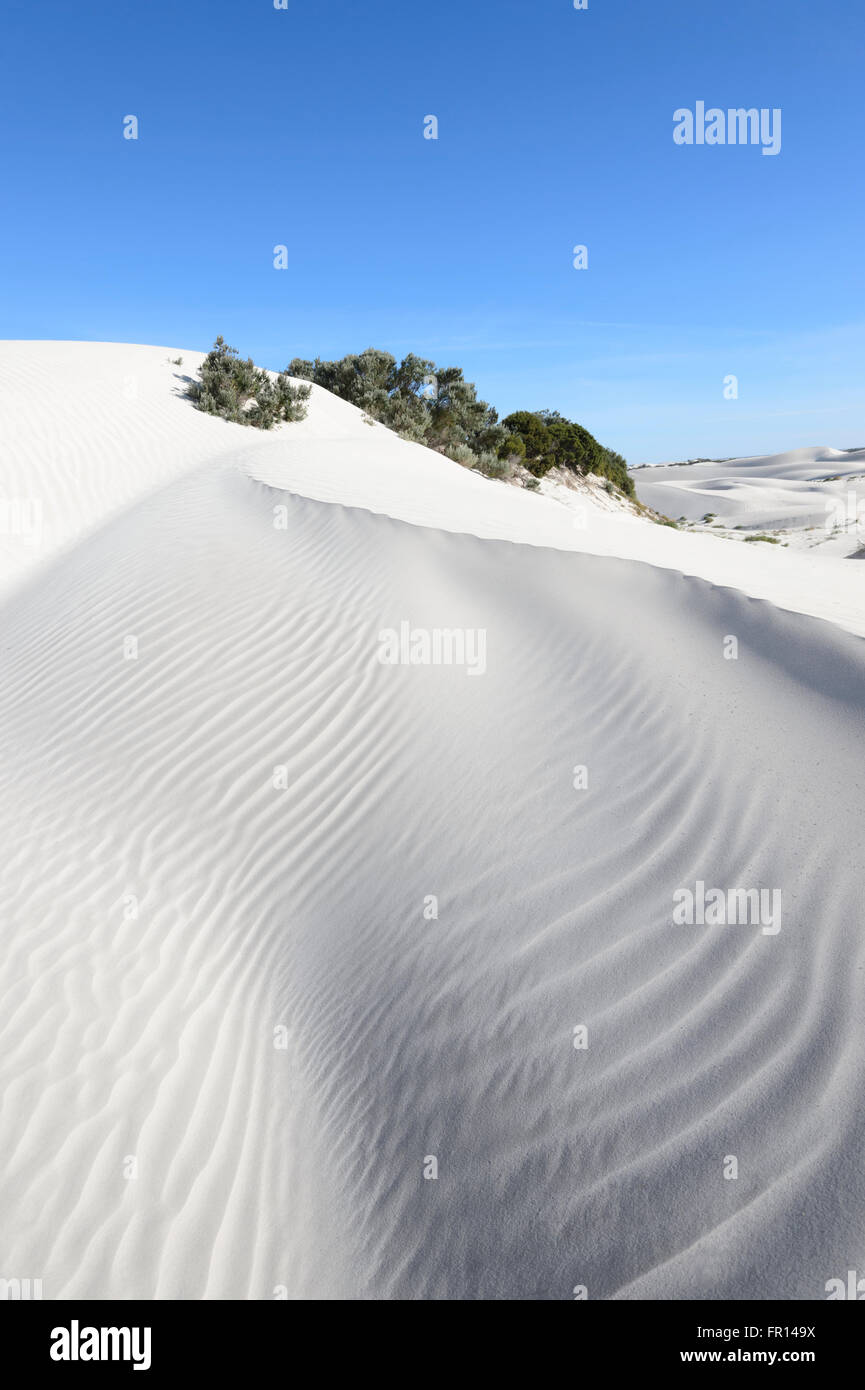 Yanerbie Sandhills, Streaky Bay, South Australia Stockfoto