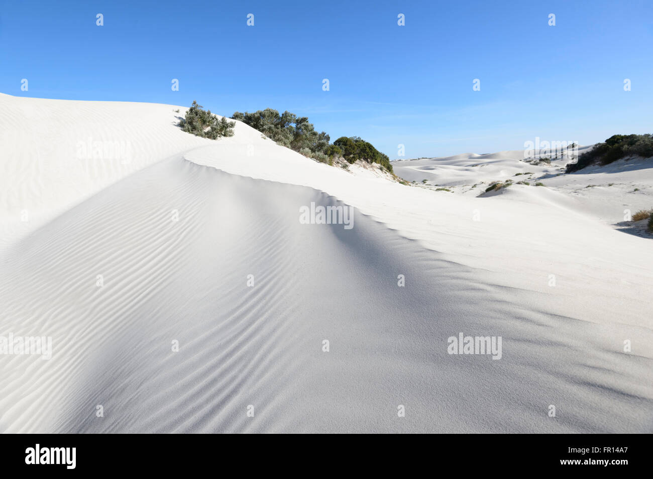 Yanerbie Sandhills, Streaky Bay, South Australia Stockfoto