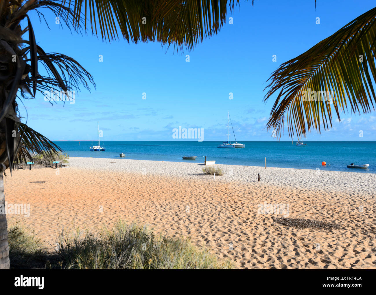 Monkey Mia, Western Australia, WA, Australien Stockfoto