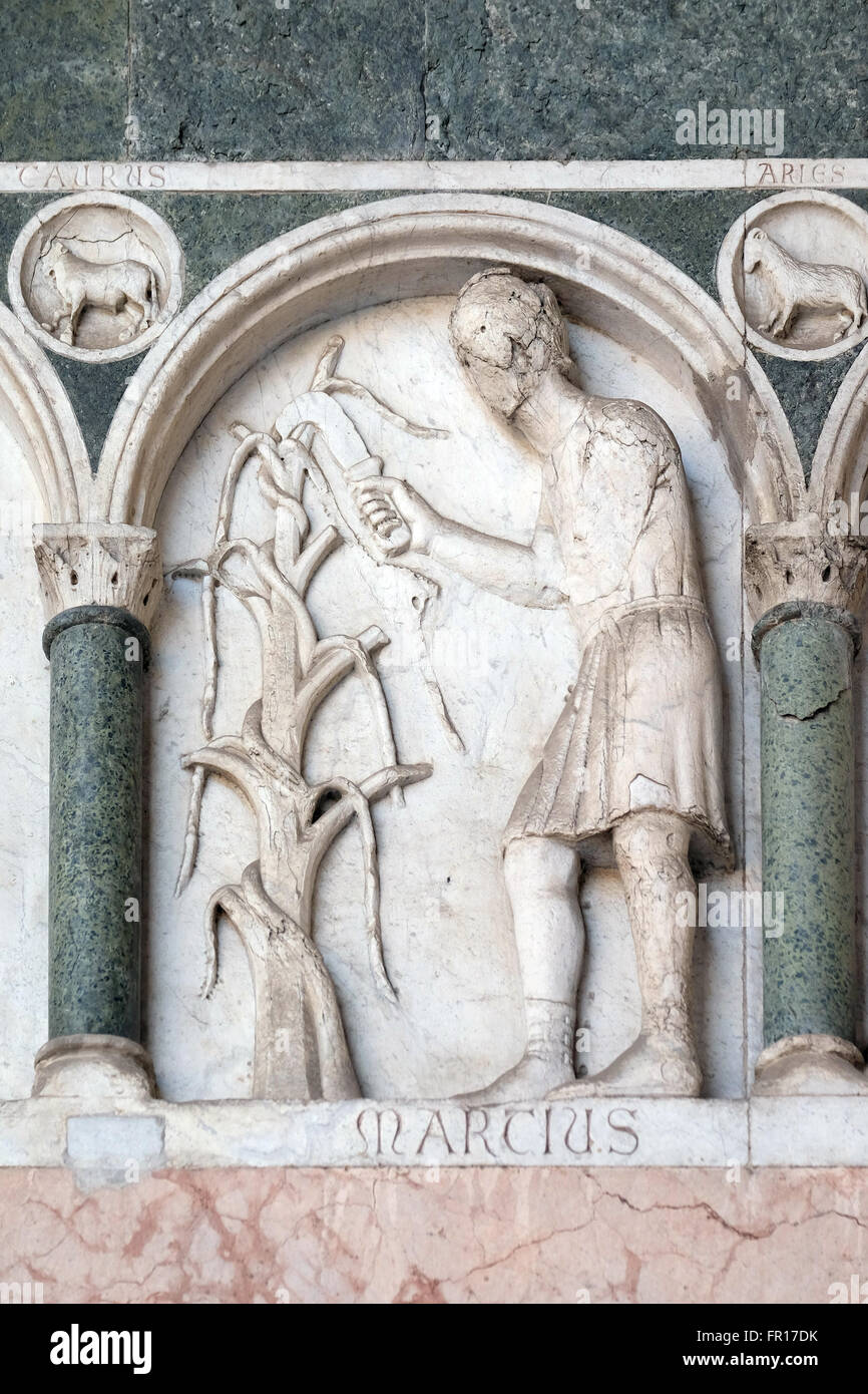 März, Basrelief repräsentieren die Arbeit der Monate des Jahres, Portal der Kathedrale von St. Martin in Lucca, Italien Stockfoto
