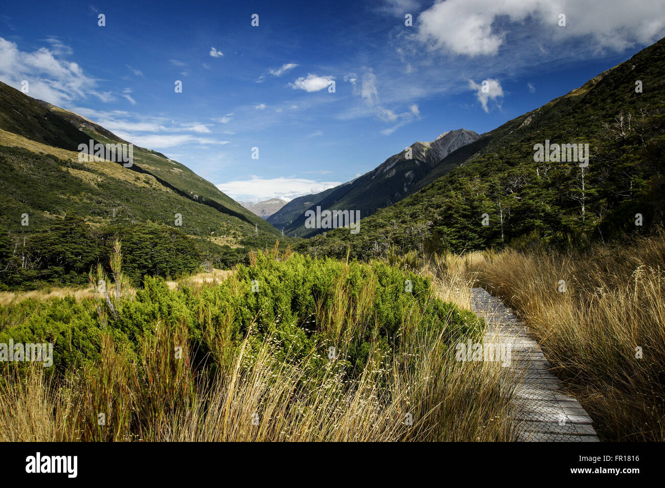 Wandern in Arturs Pass Nationalpark in Neuseeland Stockfoto