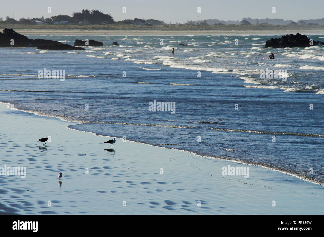 Flaches Meer rund um Sumner Dorf in der Nähe von Christchurch, Neuseeland Stockfoto