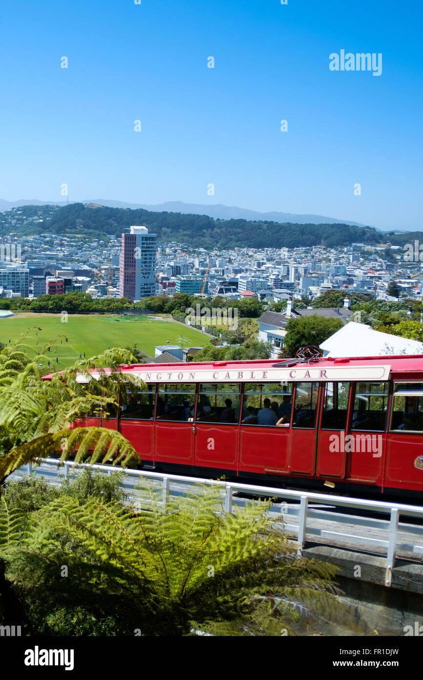 Wellington Neuseeland städtische Landschaft Stockfoto