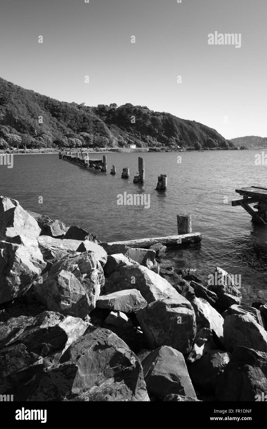 Küste, Wellington, Neuseeland Stockfoto