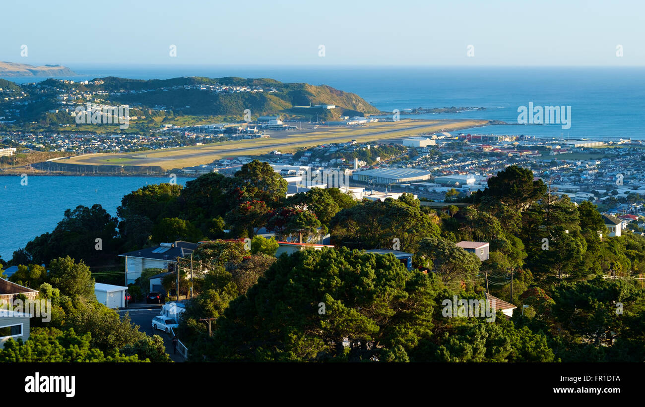 Die Bucht von Wellington, Neuseeland mit Blick auf den Flughafen Stockfoto