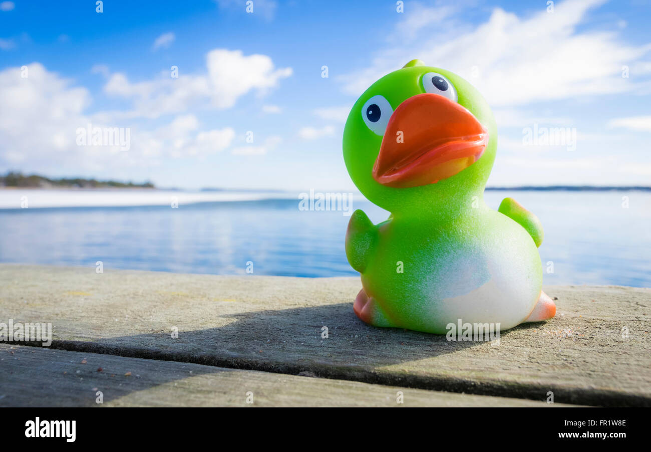 Rubber Duck Stockfoto