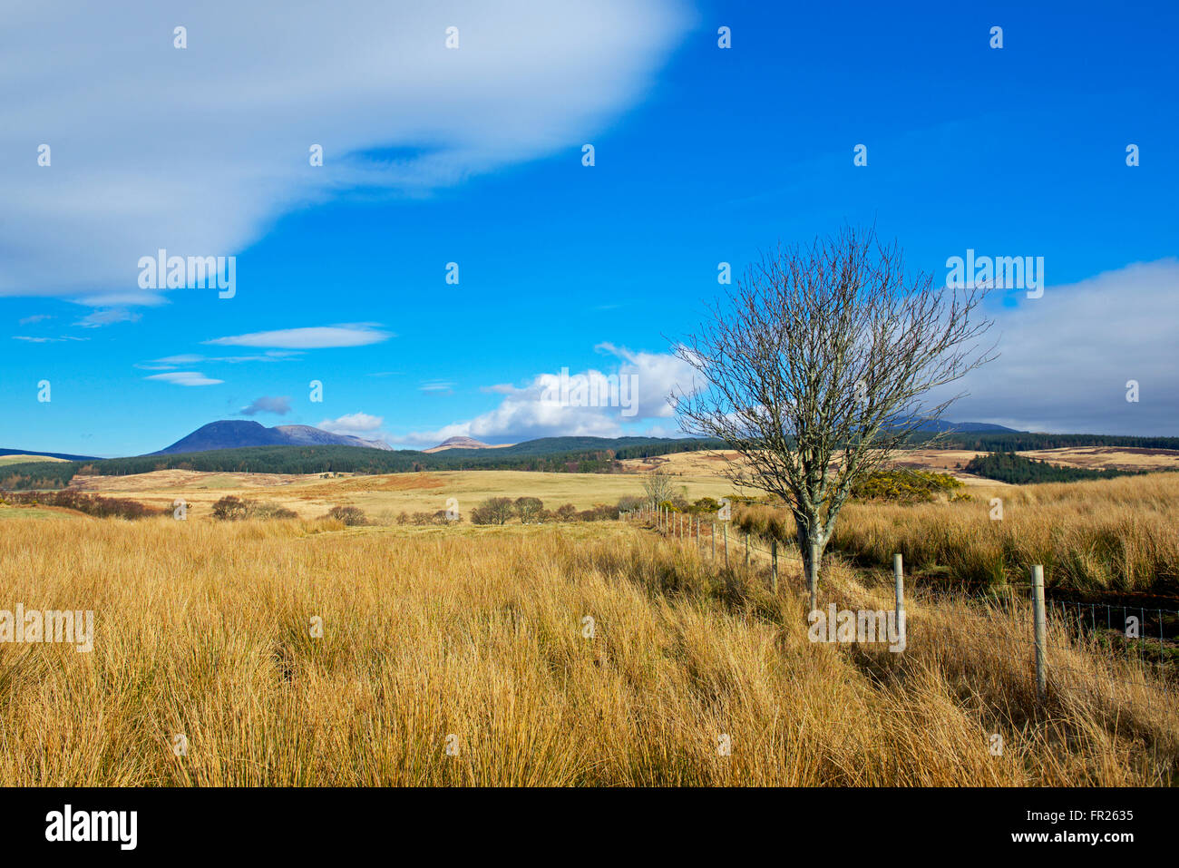Grünland auf Machrie Moor, Isle of Arran, North Ayrshire, Schottland, Großbritannien Stockfoto