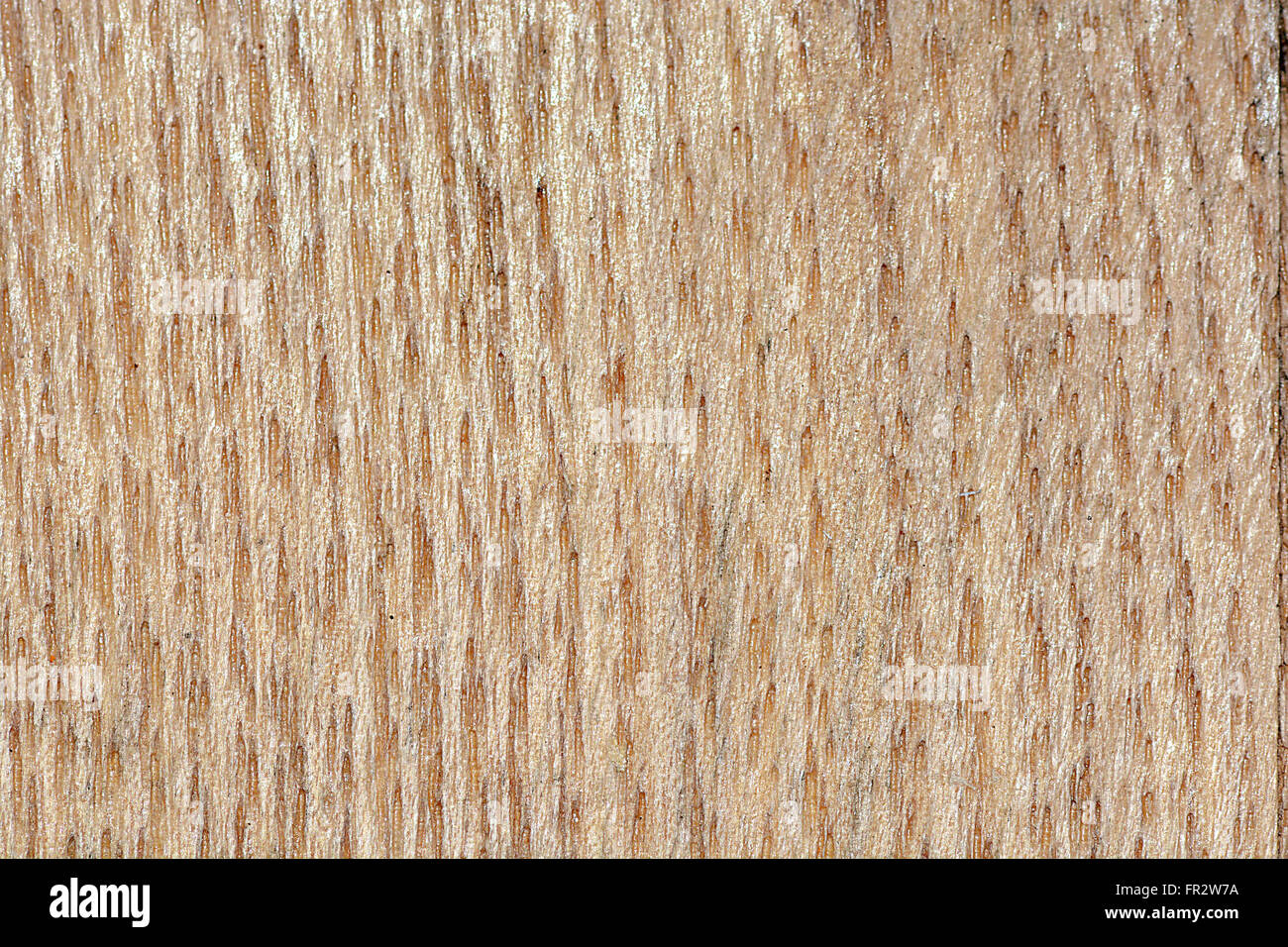 Hölzerne Struktur, leere Holz Hintergrund Stockfoto