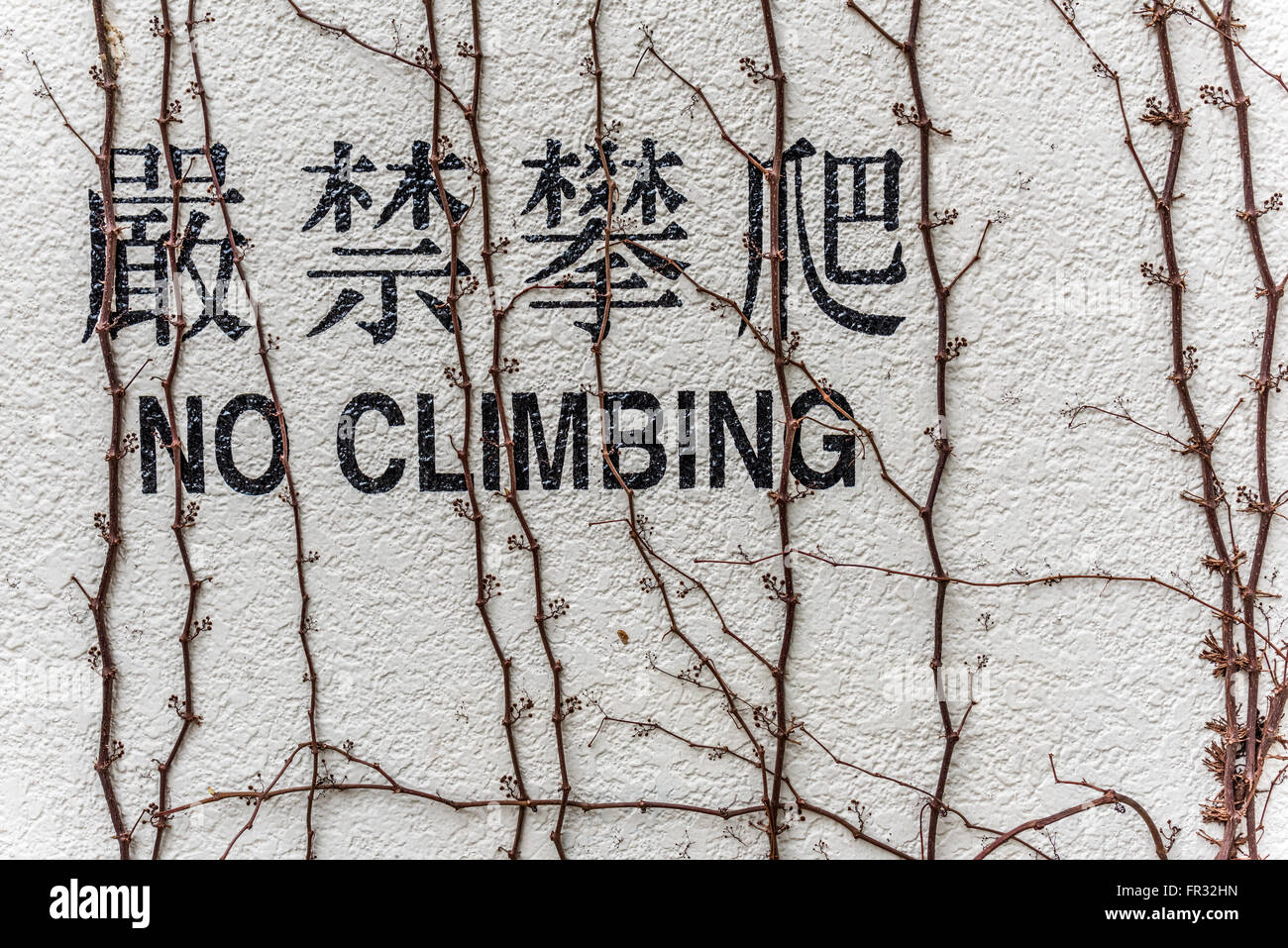 Kein Klettern englische und chinesische Wort an Wand Stockfoto