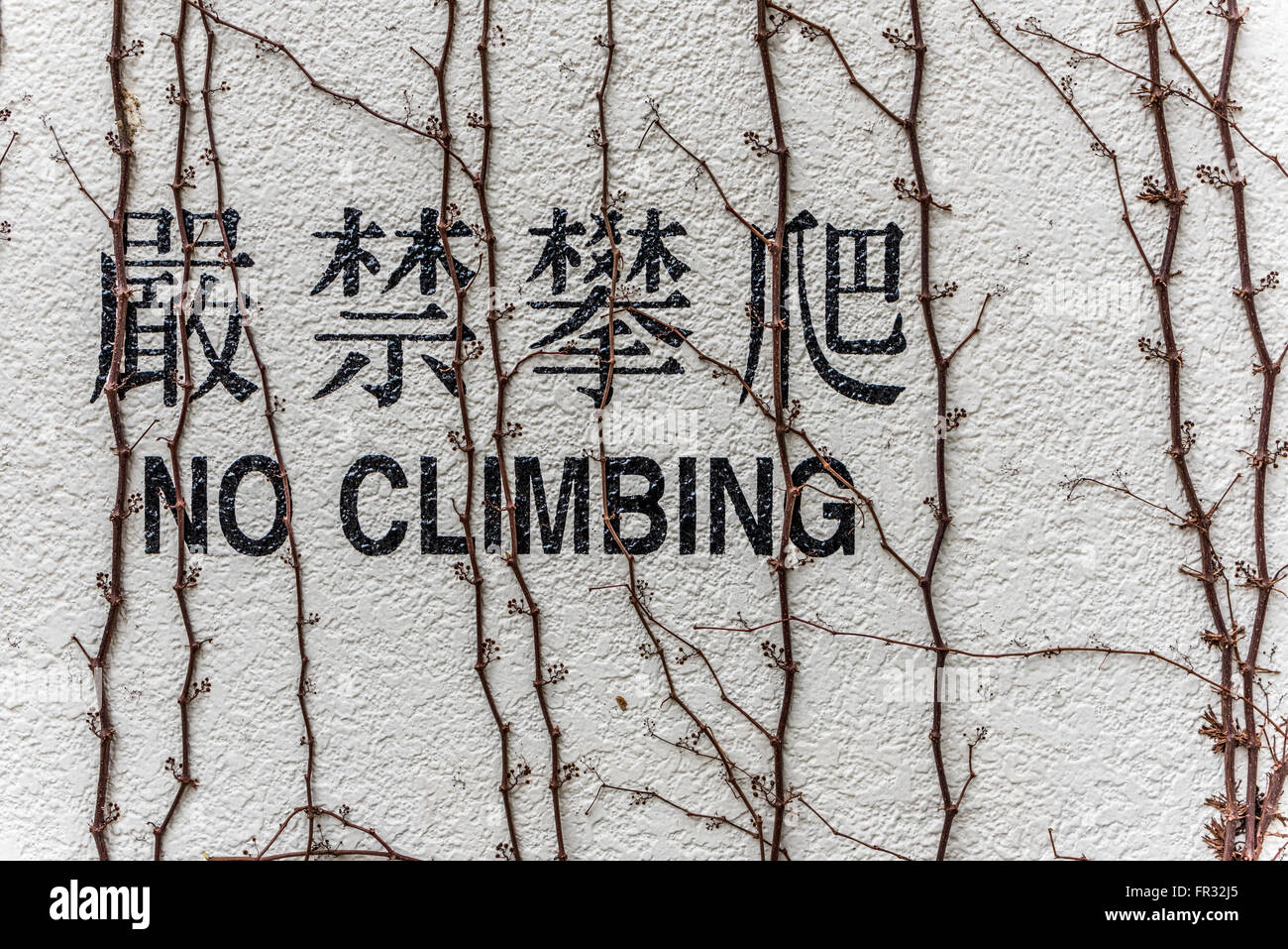 Kein Klettern englische und chinesische Wort an Wand Stockfoto