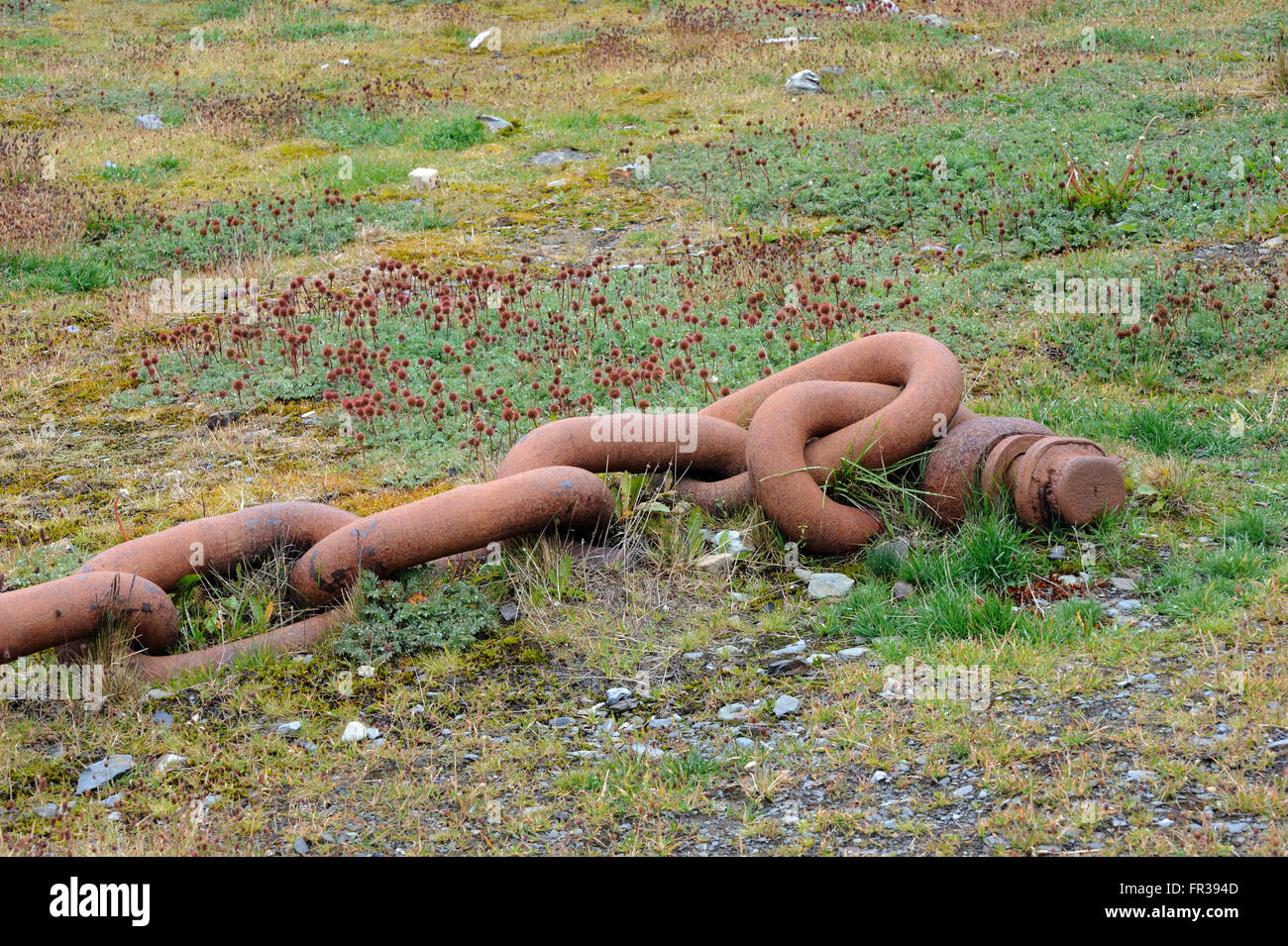 Rostigen Ketten liegen die Ruinen der Walfangstation. Grytviken, Südgeorgien 20 Feb 16 Stockfoto