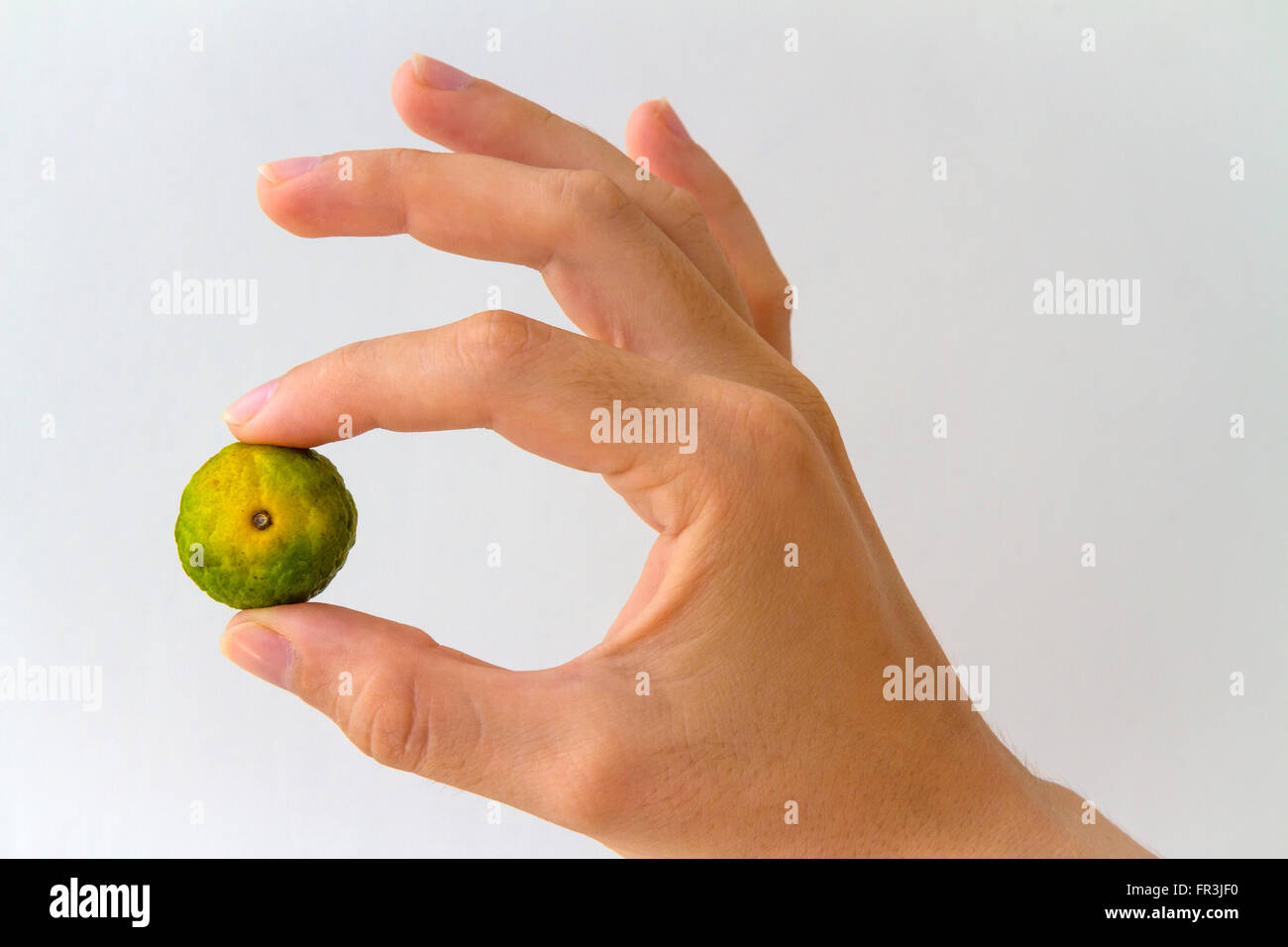 Nasnaran Mandarin, auch bekannt als Jeruk Sambal in der Hand einer jungen Frau, isoliert auf weiss gehalten. Stockfoto