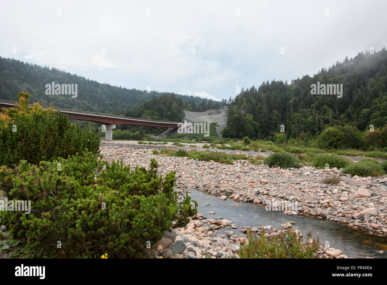 Fundy Küstenpfad kreuzt über Big Salmon River in New Brunswick, Kanada Stockfoto