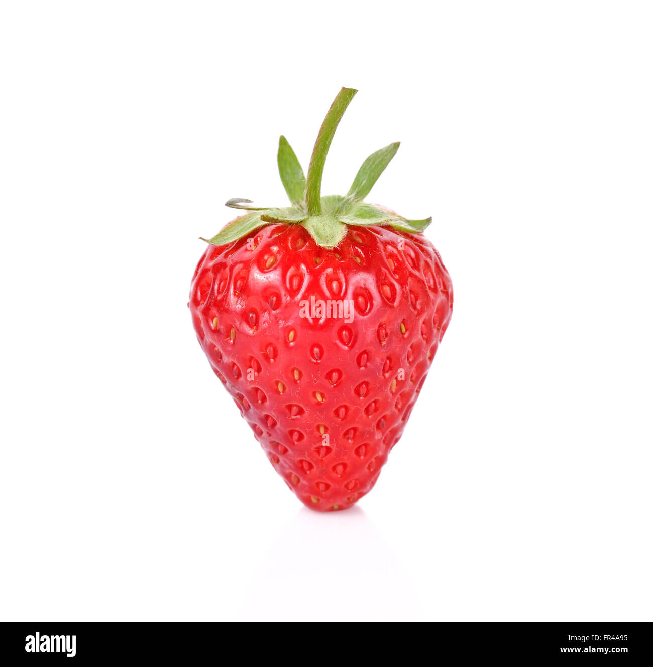 Red berry Erdbeeren isolierten auf weißen Hintergrund Stockfoto