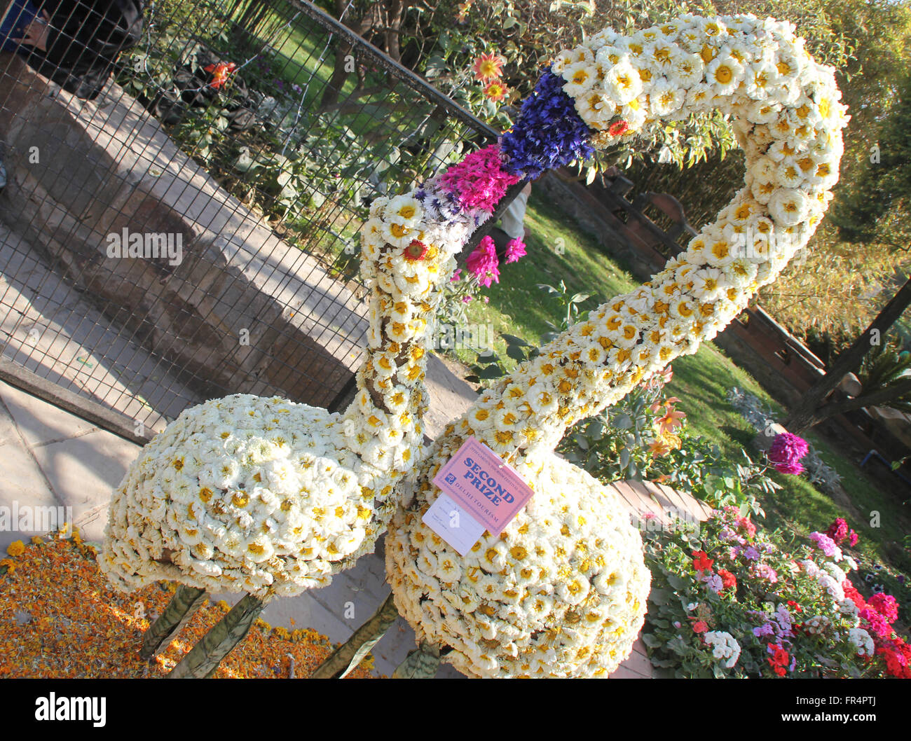 Floral Kran, Mutter füttert die jungen ein, hergestellt aus Blüten von Chrysanthemen, Schnäbel von Petunia und andere Blumen Stockfoto