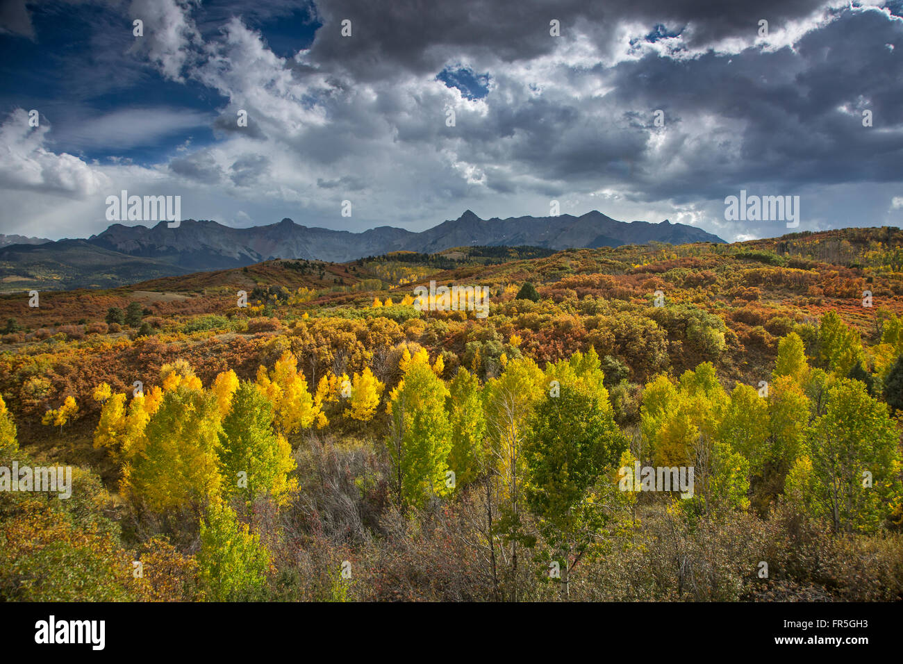 Wolken über gelbe Herbst Bäume im Tal unten Berge, Dallas teilen, Colorado, Vereinigte Staaten Stockfoto