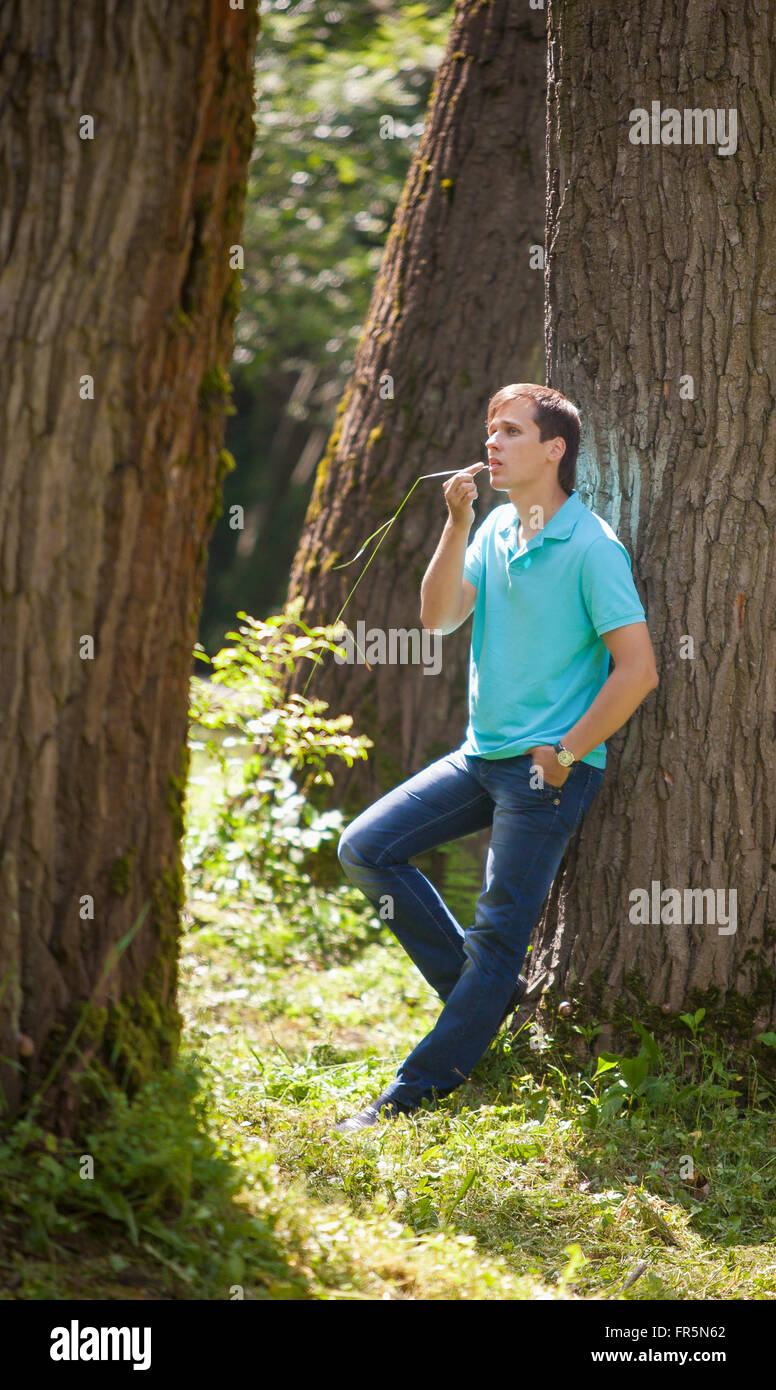Hochzeitsfotos Stockfoto