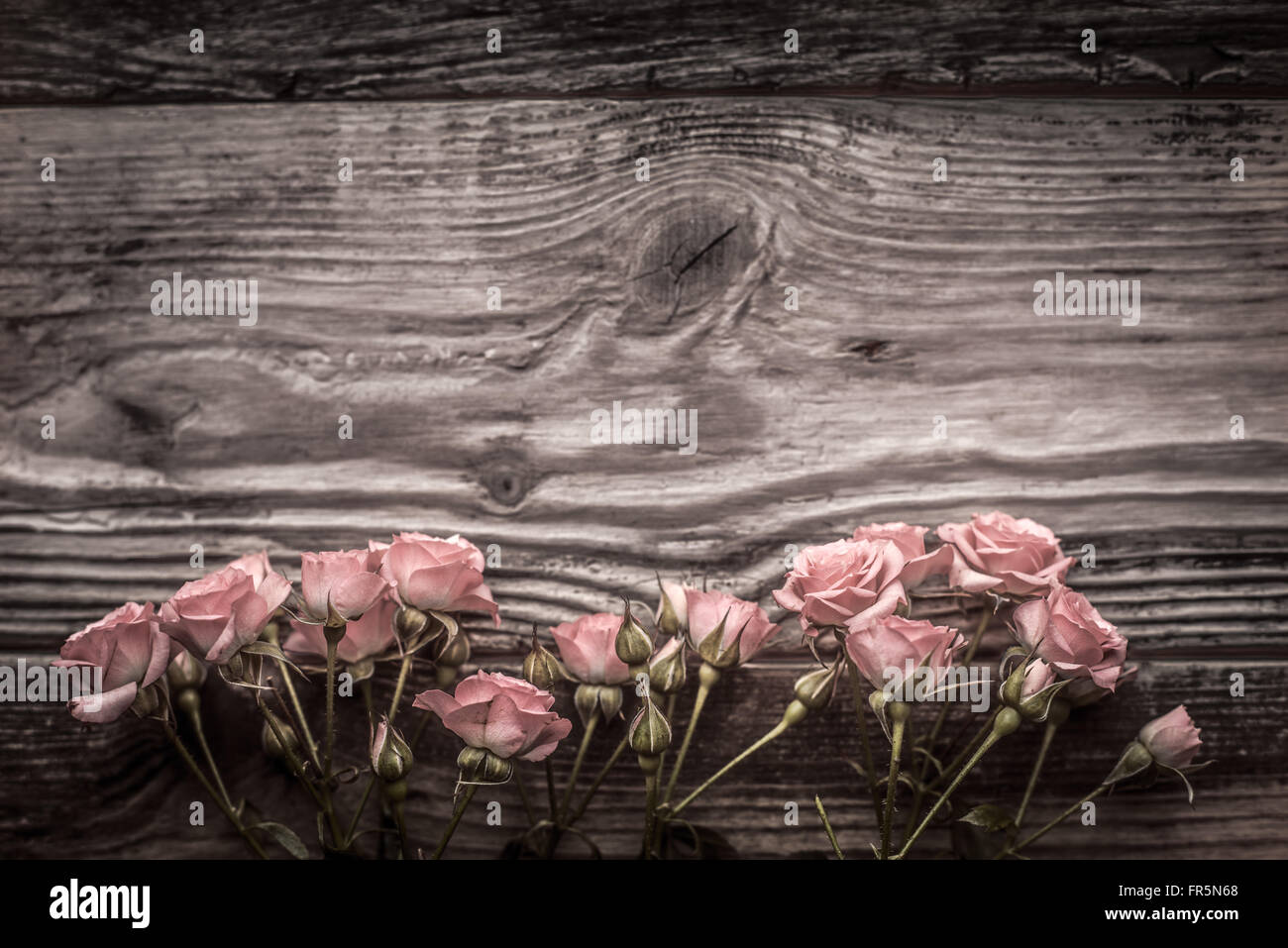 Rosa Blüten auf horizontalen grauen Holzbrettern Stockfoto