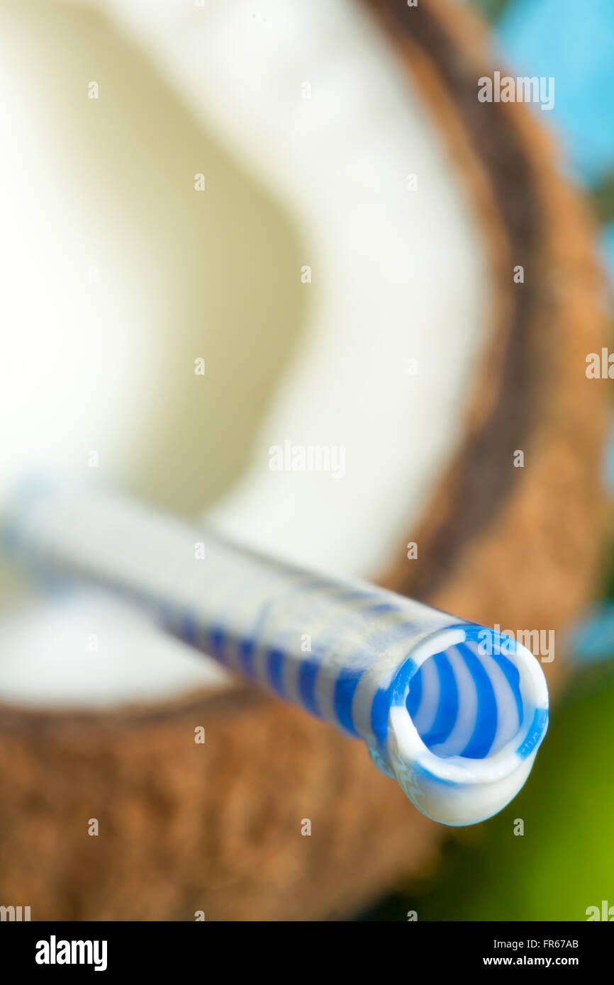 Kokosnuss-Saft mit Stroh exotischen Urlaub Reisen Hintergrund Konzept Makro Stockfoto