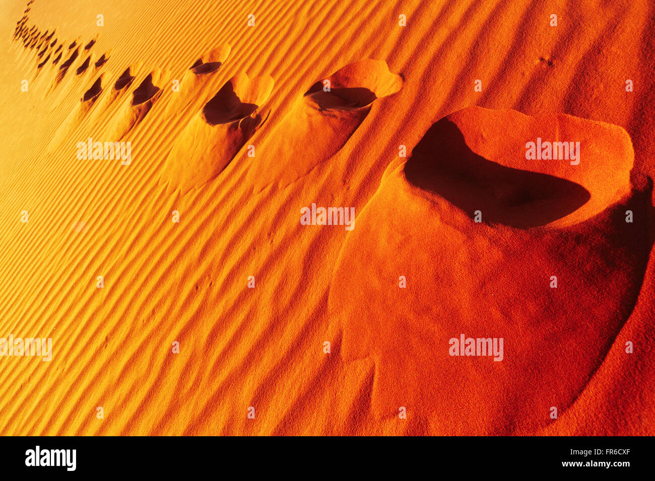 Spuren im Sand Dune, Wüste Sahara, Algerien Stockfoto