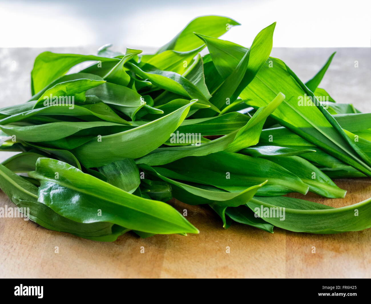 Lösegeld Blätter frisch und vorbereiten Stockfoto