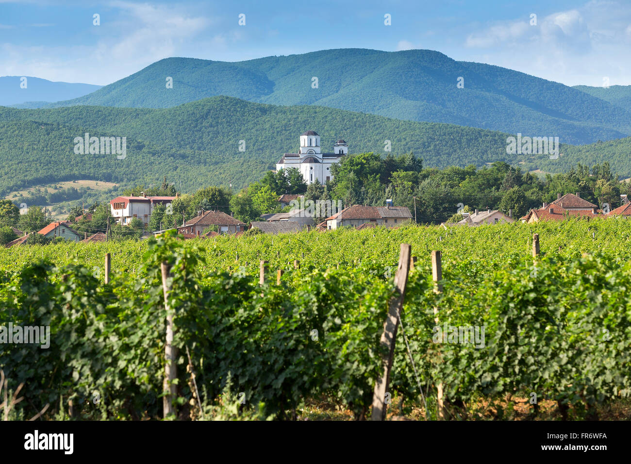 Republik Mazedonien, Weinregion Demir Kapija, Popova Kula-Weingut Stockfoto