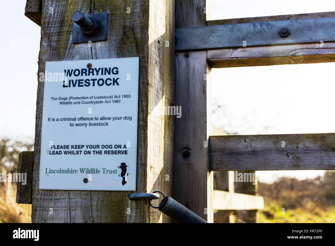 Besorgniserregende Tiere Hund Hunde Schafe töten melden Sie Gibraltar Point Skegness Lincolnshire UK England Stockfoto