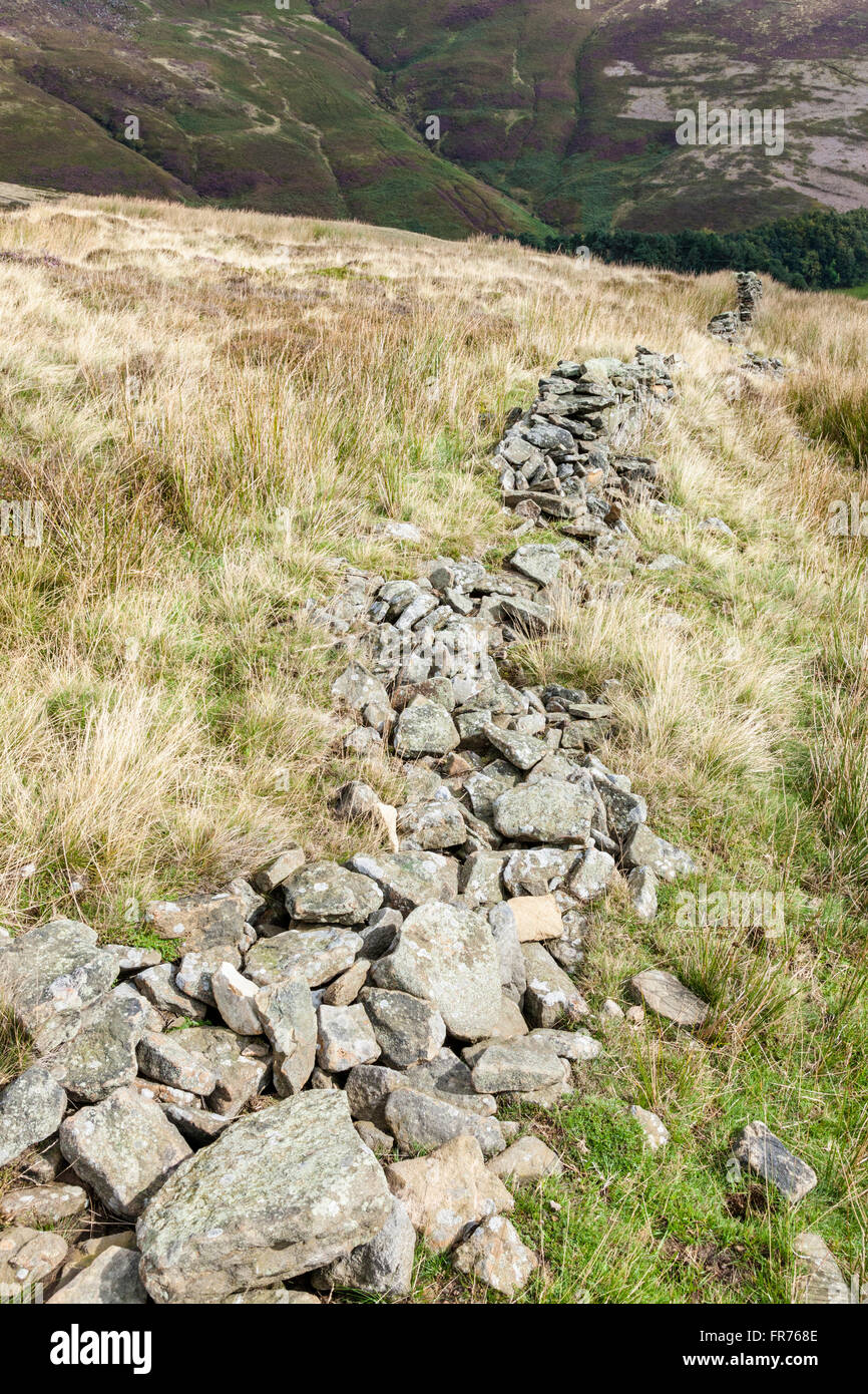 Moorland Hügel mit einem eingestürzten Steinmauer. Blick nach unten in Richtung der Grünen an Grindsbrook Clough, Derbyshire, Peak District, England, Großbritannien Stockfoto