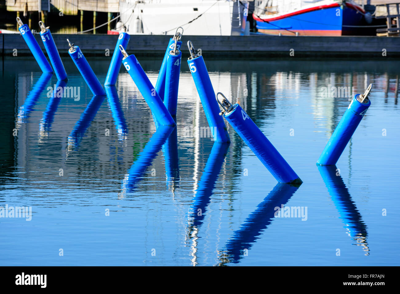 Blau, nummerierte Liegeplätze in einer Marina. Keine Boote an sie gebunden. Ruhiges Meer und feinen Reflexionen der Bojen im Wasser. Stockfoto