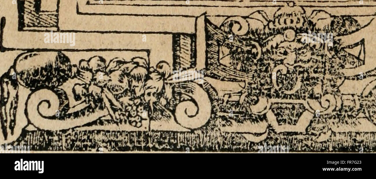 Los Emblemas de Alciato - Traducidos de Rhimas espaC3B1olas (1549) Stockfoto