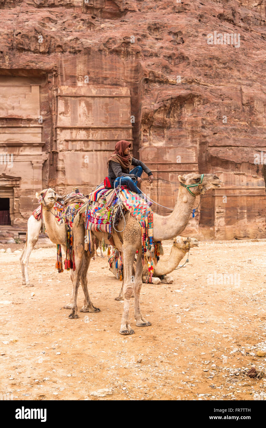 Beduinen auf Kamel, Petra, Jordanien Stockfoto