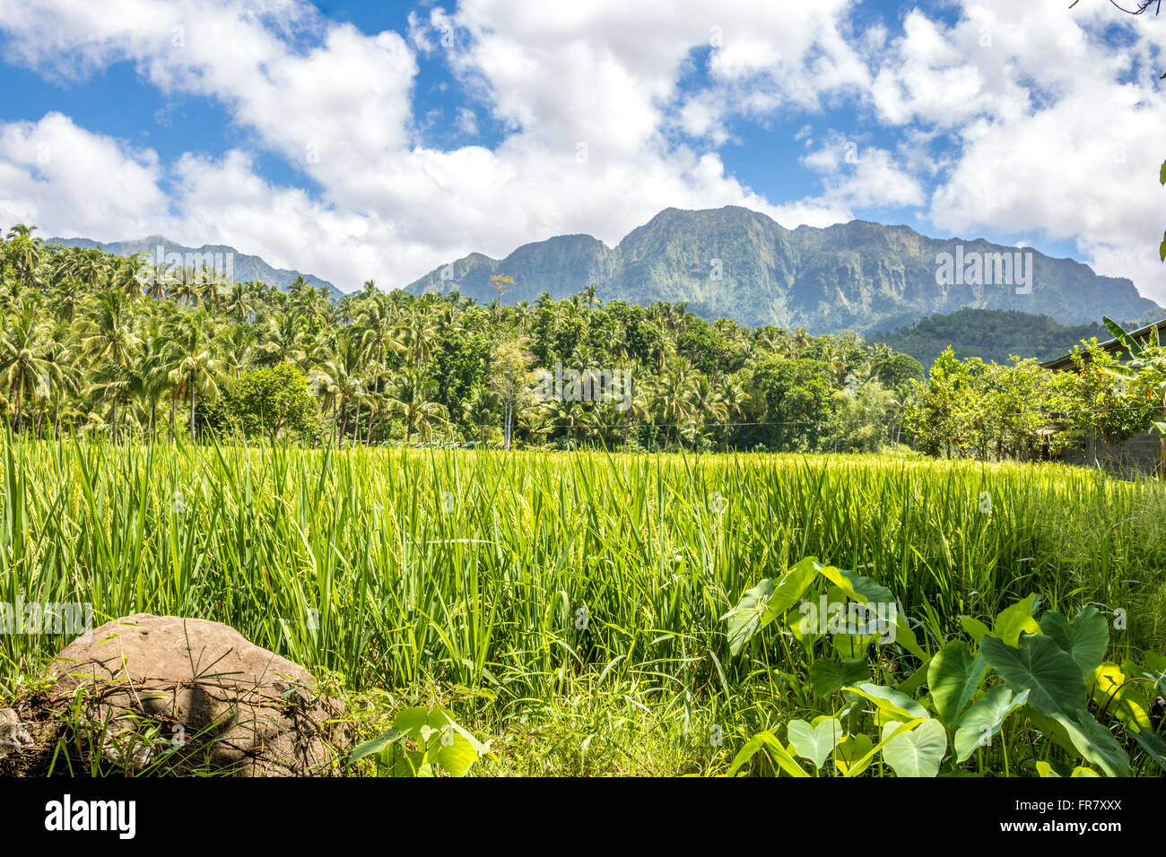 Philippinen Leyte Baybay schöne Landschaft in der Nähe von Port Stadt von Baybay Adrian Baker Stockfoto