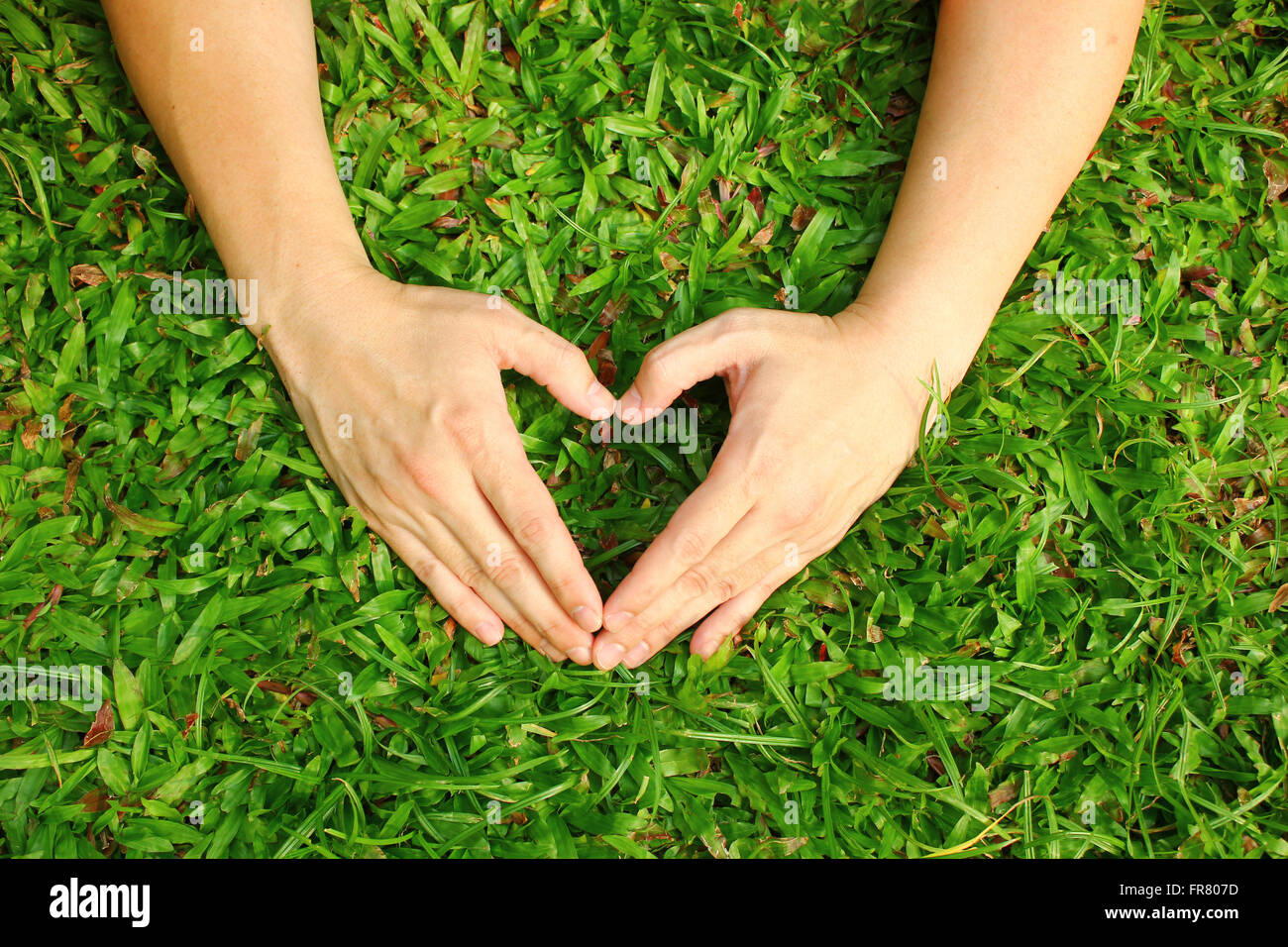 Hände in den Rasen in Form von Herzen auf grünen Rasen Hintergrund. Stockfoto