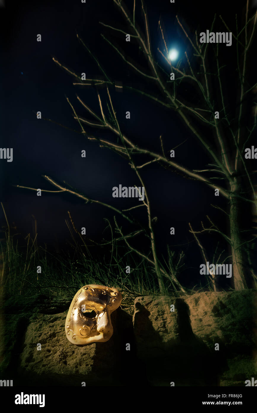 Vintage-Maske in der Nacht im Mondschein Stockfoto