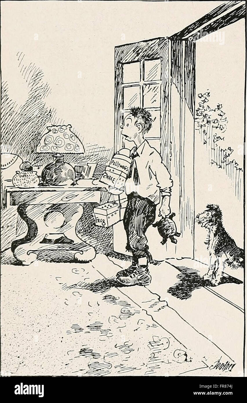 Diese Arbeit aus dem Jahr 1920 untersucht die verschiedenen Formen der aquatischen Lebensweise, von Meeres- bis Süßwasserökosystemen, und bietet Beschreibungen verschiedener Arten, ihrer Lebensräume und Verhaltensweisen in aquatischen Umgebungen. Stockfoto