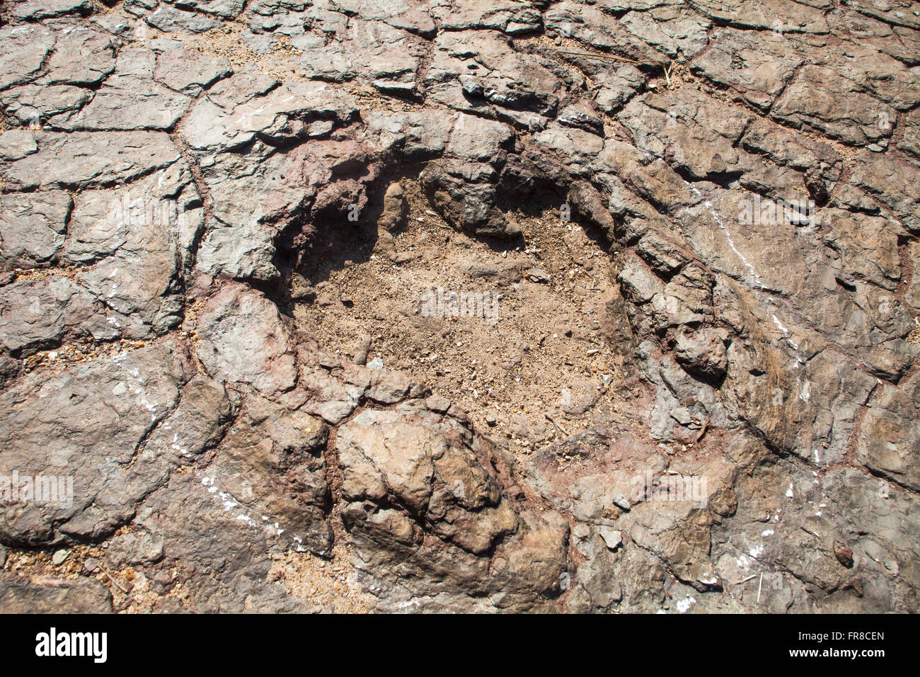 Fußabdrücke von Dinosauriern im Tal der Dinosaurier Stockfoto