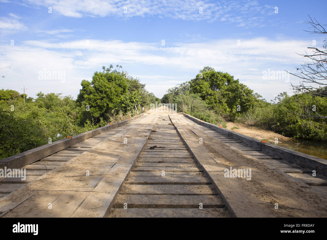 Brücke in die Parkstraße Pantanal - südlichen Pantanal Stockfoto