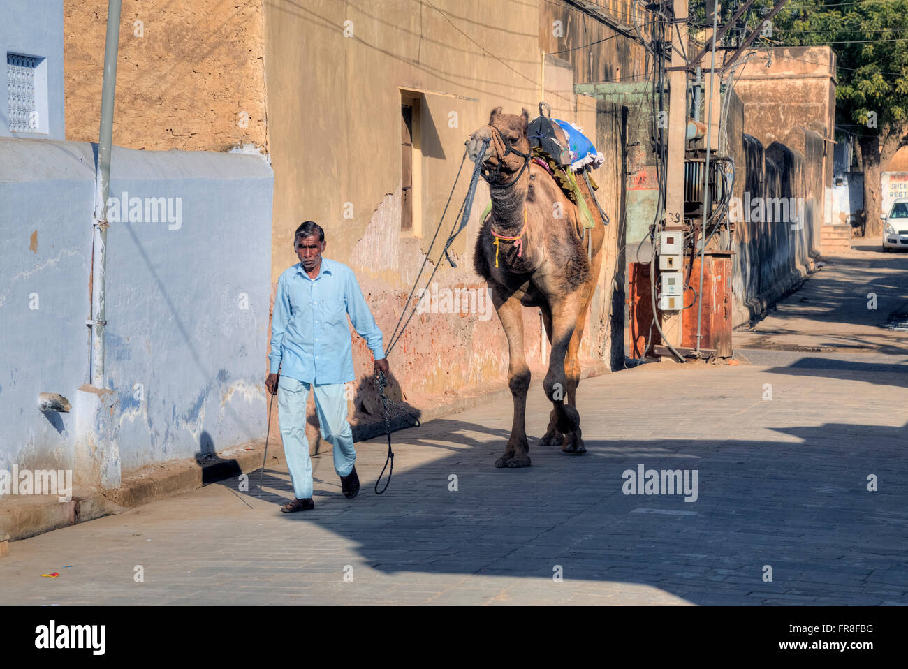 Straßenszene mit Kamel in Mandawa, Jhunjhunu, Rajasthan, Indien, Asien Stockfoto