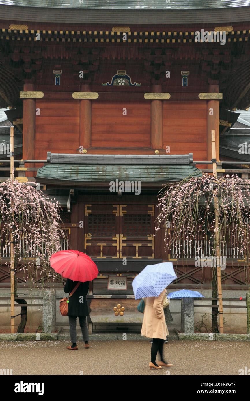 Japan, Tokio, Yushima Tenjin Schrein, Ume Matsuri, Blumenfest, Stockfoto