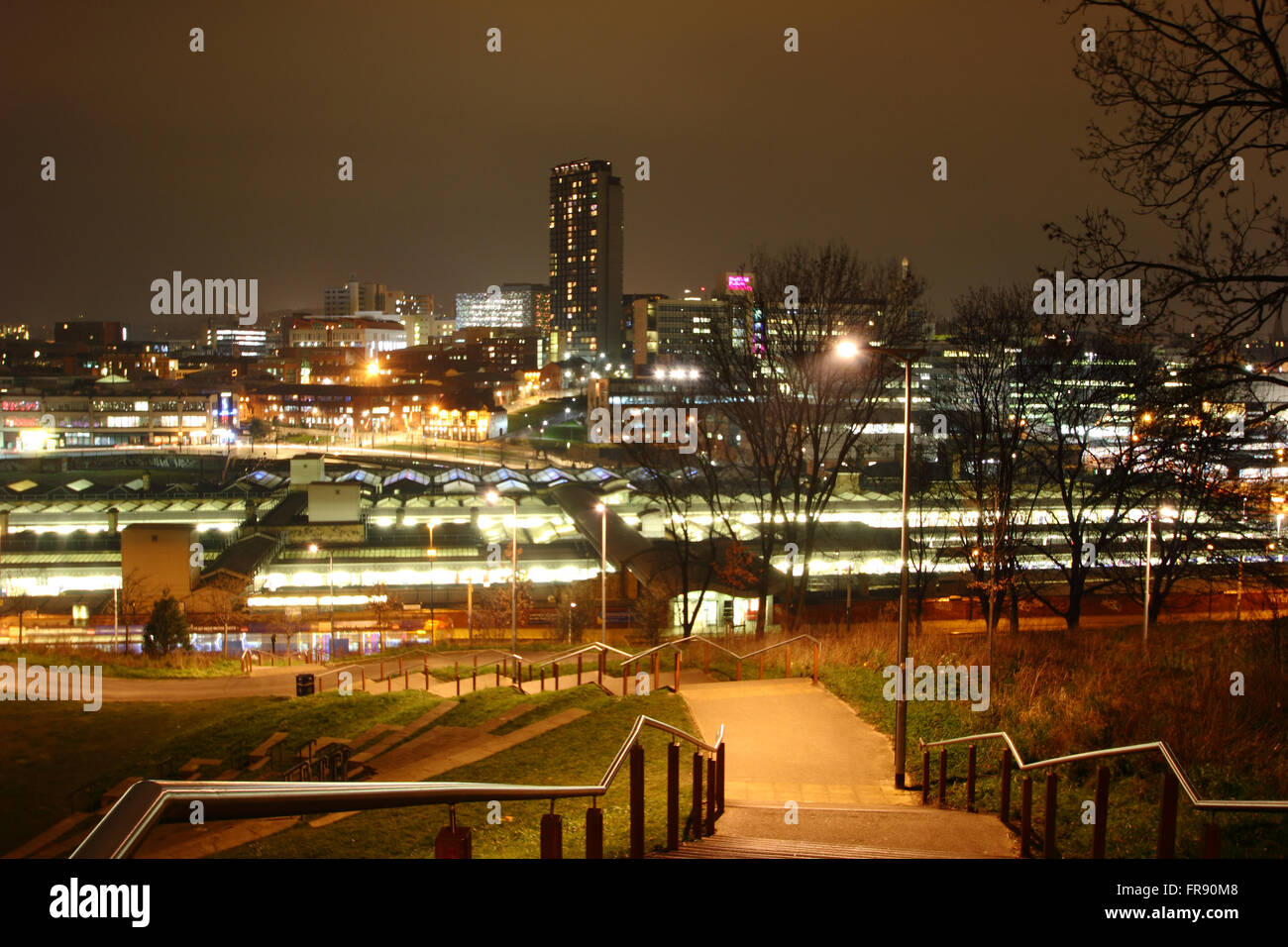Die Skyline von Sheffield Stadtzentrum von South Street Park, Sheffield, South Yorkshire, England UK EU gesehen Stockfoto