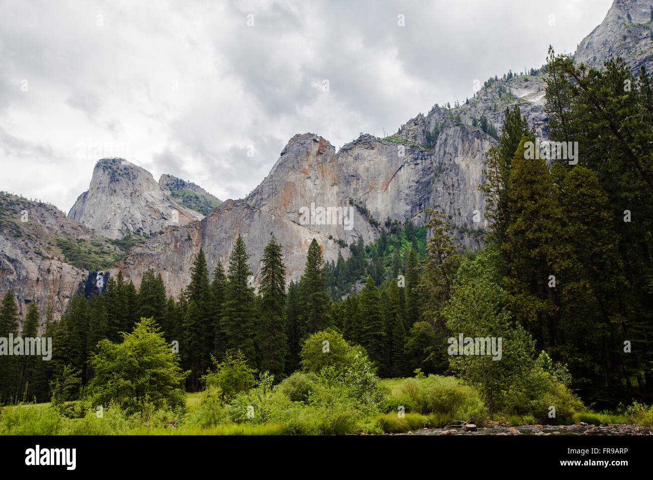 Talblick im Yosemite National Park im Frühjahr. Stockfoto