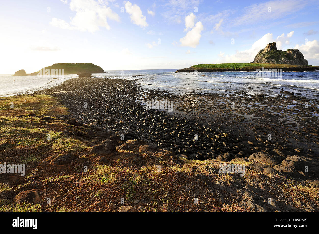 Der Hafen Strand - Insel Fernando De Noronha Rata Stockfoto