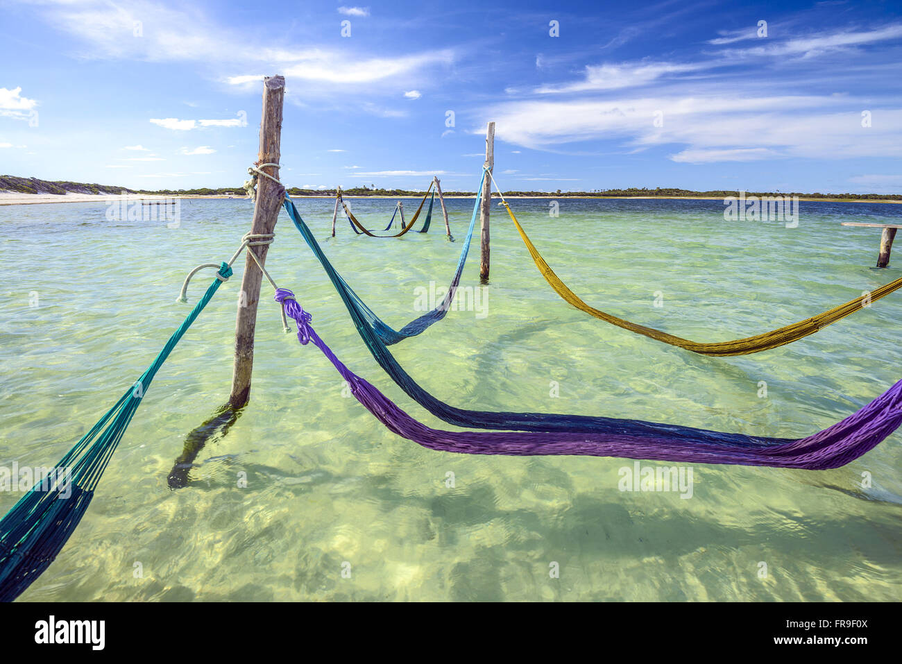 Netzwerke innerhalb des Wassers in Lagoa Paraiso in der Region des Nationalparks von Jericoacoara Stockfoto