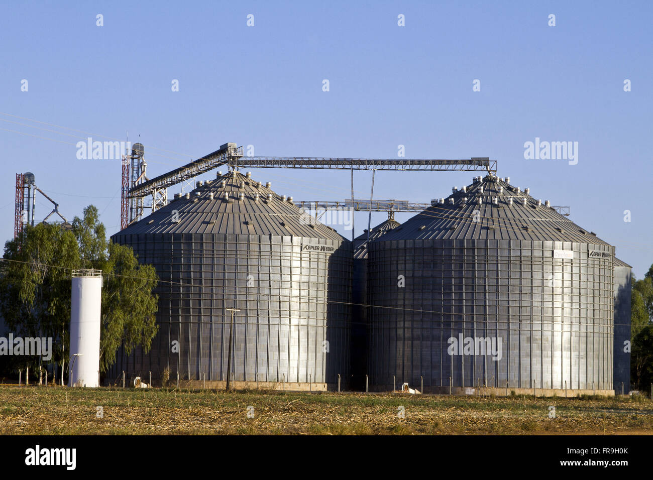 Lagersilos für Mais und Sojabohnen für den export Stockfoto