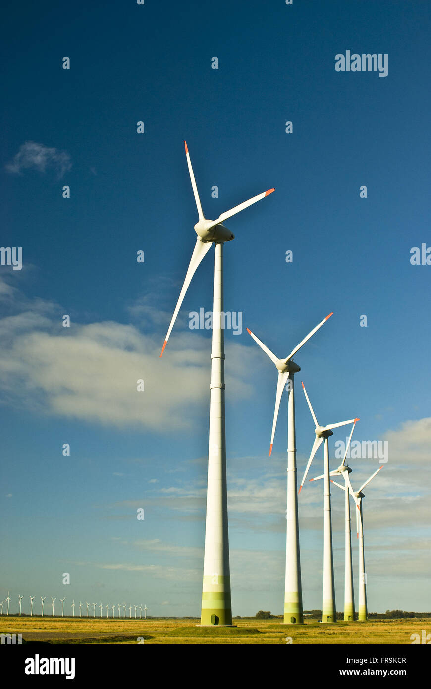 Generator Wind-Kraft-Park - Winde Süd Stockfoto