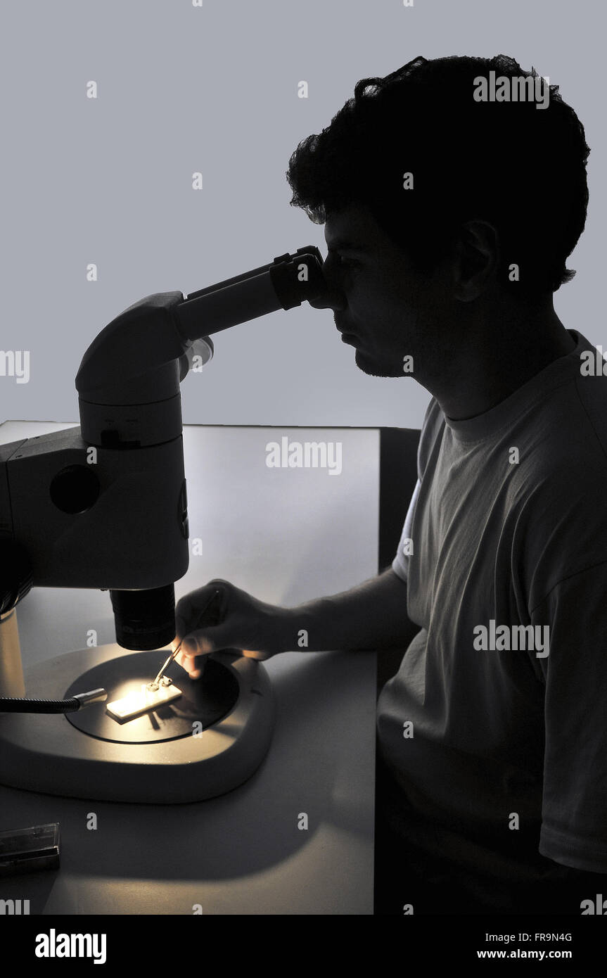 Wissenschaftler forschen Stockfoto