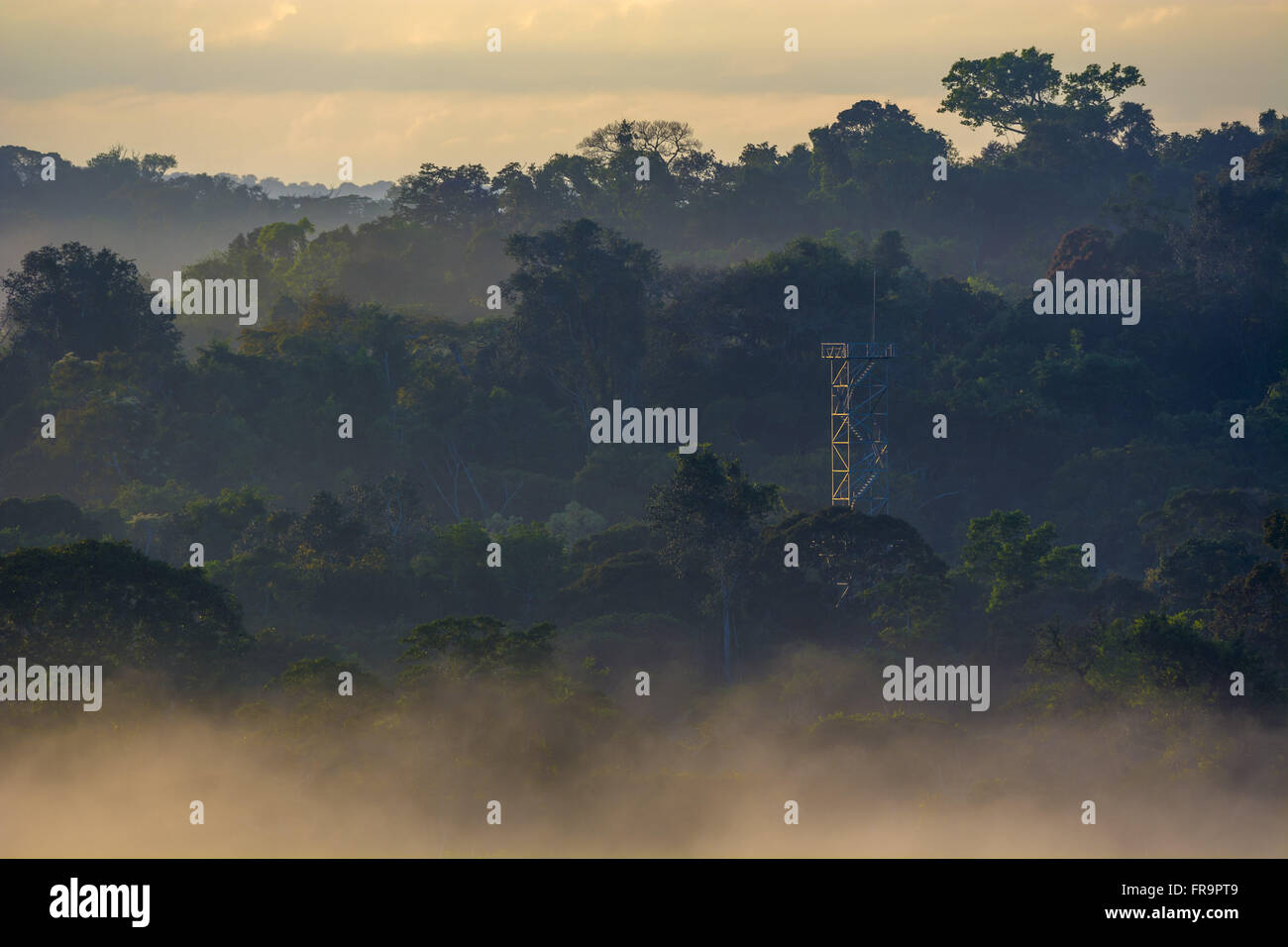 Torre Para Observação de Fauna e da Copa da Floresta Na RPPN Cristalino Stockfoto